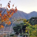 청량산 참 민박 이미지