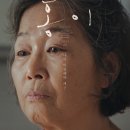 홍이 티스토리