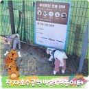 장자호수공원 | 장자호수공원 반려견 놀이터 구리 애견놀이터 입장방법 주차 후기