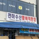 중앙수산유통 | [나주] 혁신도시 직장인 추천 신선하고 맛있는 횟집 &#34;천하수산 활어직판장&#34; 내돈내산 방문후기