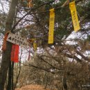 금강올레길 이미지