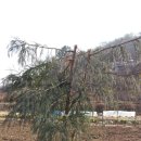 응달농장 이미지