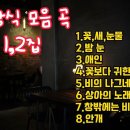 송창식 노래 모음 곡--꽃, 새,눈물/ 밤 눈/ 애인/ 꽃보다 귀한 여인/비의 나그네/ 상아의 노래 이미지