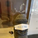 340002 | 제주 베스트웨스턴 호텔, 청소상태 최악, 스타벅스후기