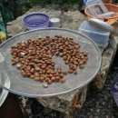 진주산소 이미지