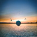 거북이의 꿈 이미지