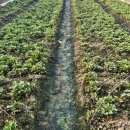 순이하우스 이미지