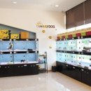 패밀리독 이미지