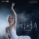 2020 청주무용협회 정기공연 ''무용과 함께하는 축제'' | 세기를 넘어 전세계를 매혹시킨 클래식 발레의 명작! '백조의 호수 SWAN LAKE'