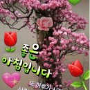 오늘선물 이미지
