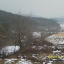 초롱목장 이미지