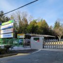 서울금성초등학교 이미지