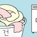 [리빙포인트] 수건 세탁하는 요령 이미지