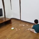 신촌1974