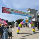 대양면_덕정리(배출하우스) | 합천 6월 토마토 축제 후기 :: 아이랑 가볼만한곳 추천 :: 체험부터 먹을거리까지