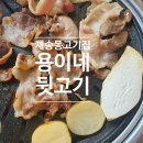 재송 힐 이미지