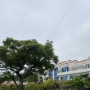 더 머뭄 이미지