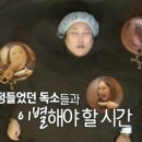 DODAM 도담 나무공방 | 혈액순환·노폐물 1:1 관리샵 합정역 도담효소찜질