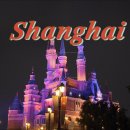 정대카서비스 | 중국여행 준비하기 / 필수 앱 인증방법 / 상하이 맛집,관광지 주소 복사까지!