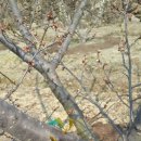 진월농장 이미지