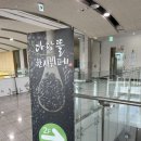 한샘한식뷔페 | [대구 엑스코 맛집] 다담뜰 한식뷔페 방문 후기, 가성비 좋은 점심뷔페!