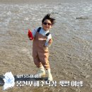 전남중학교 | 몽산포해수욕장 갯벌체험 여행 맛조개 팁 안전 주의사항