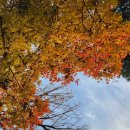 덕현허브 이미지