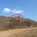 효성목장 이미지