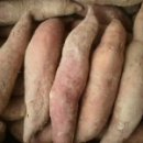 삼호농장4 이미지