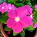 융한의원 이미지