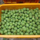 내압농원 이미지