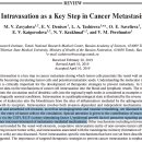 Re:Intravasation as a Key Step in Cancer Metastasis 2019 리뷰논문 이미지