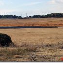 방주목장 이미지