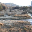 하천(갑천6) 이미지