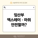 임치과의원 | 송파구치과 임산부 약 복용, 치과 치료 시 어디까지 가능할까