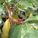 희정농장 이미지