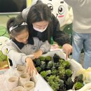 소회의실 5(1층) | 전일빌딩245 공감 행사 리뷰 / 11월의 토요일도 가을의 온기를 품고~ 전일마당 공감 프로그램의 기록!📝