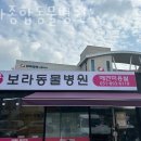 보라종합동물병원 | 용인 보라동 동물병원 보라종합동물병원 진료시간 접근성 이용후기