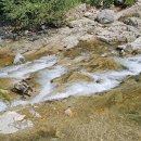 토요일(특별) 이미지