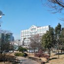 남천어린이집 네이버블로그