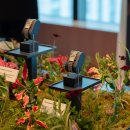 돌체비타 이미지