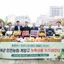 구청 남측광장 이미지