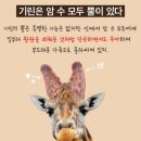 동백동677(중1-5)-동백동679(중1-3) | 선종(禪宗) 6조(六祖) &#39;혜능(慧能, 638년~713년)&#39;의 아들 뻘과 손자 뻘 &#39;직계 제자(直系弟子)&#39;들