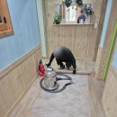 지인어린이집 | 서산 에어컨 냉난방기 어린이집 천장형 설치