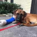 민수 농장 이미지