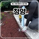 H1800 | 청양휀스 펜스 - &#34;주택 마당 견사, 이렇게 하면 완전 게임 끝🔥&#34;
