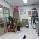 감포물회