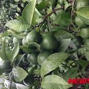 (주)다정플러스 이미지