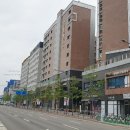 강남-227 이미지