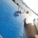 비고리조트 3 이미지